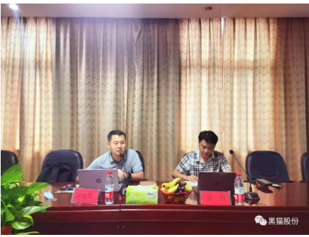 　安徽中鼎做為國內(nèi)最大的汽車橡膠零部件生產(chǎn)、出口企業(yè)，是黑貓股份差異化產(chǎn)品的重要客戶之一，此次評審為安徽中鼎第一次對黑貓公司開展審核活動，也是邯鄲黑貓首次接受差異化產(chǎn)品客戶方審核。