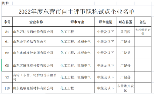 職稱(chēng)自主評(píng)審，5家輪胎企業(yè)試點(diǎn)！